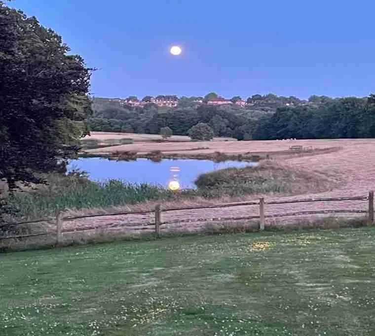 Tenterden-Trout-Waters615