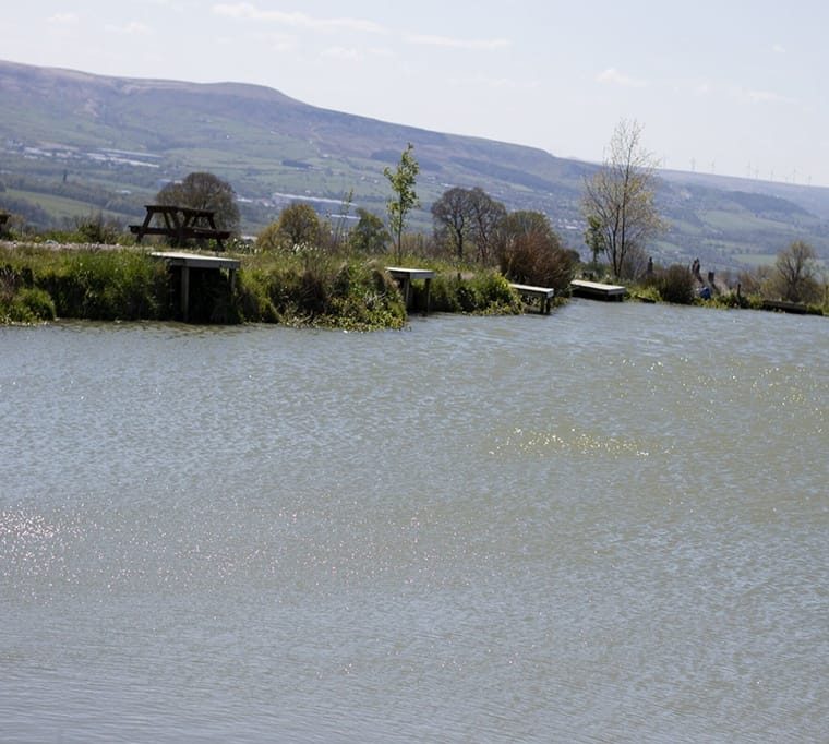 The Rising Fishery620