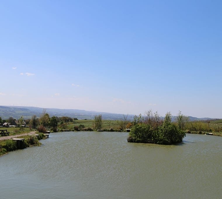 The Rising Fishery621