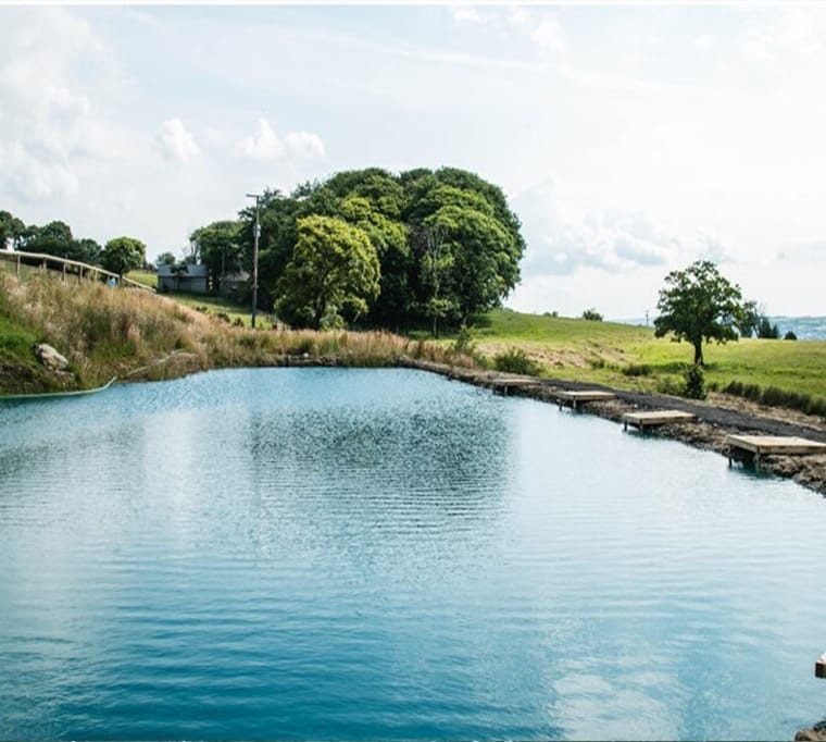 The Rising Fishery623