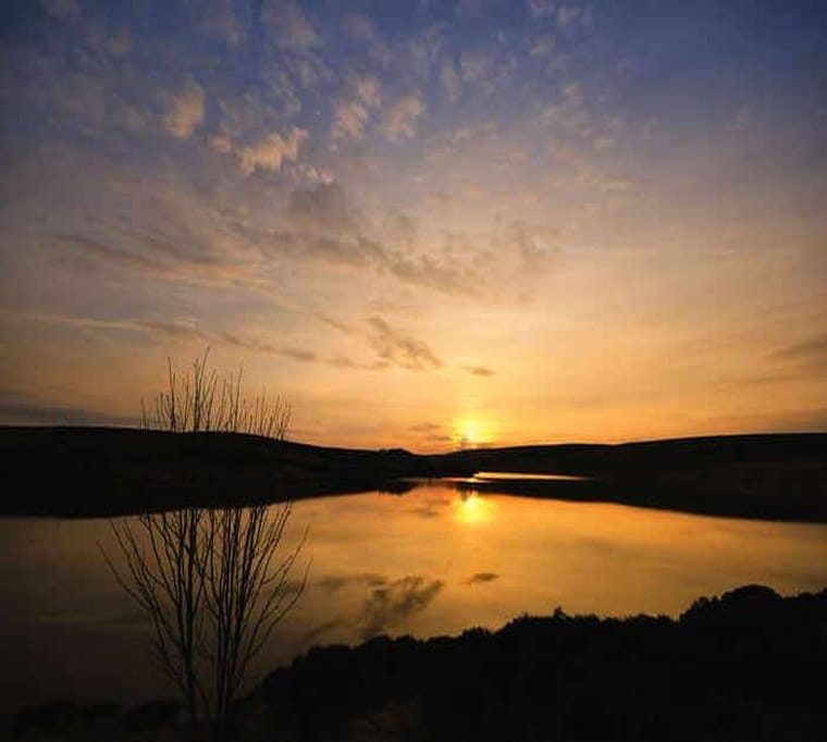 The Watch Water Fishery28