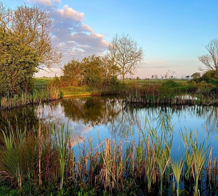 Thornwood Springs Trout Fishery625