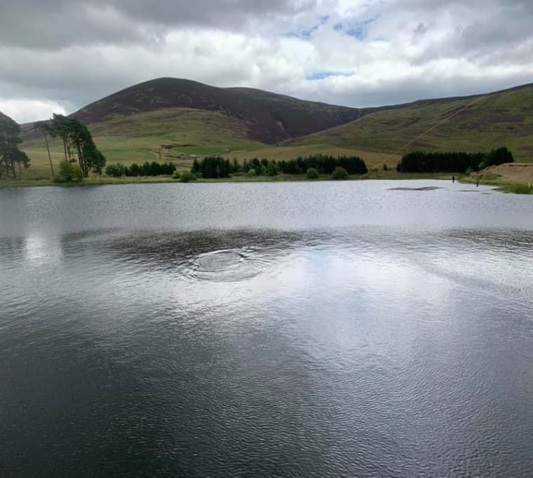 Tinto Trout Fishery243