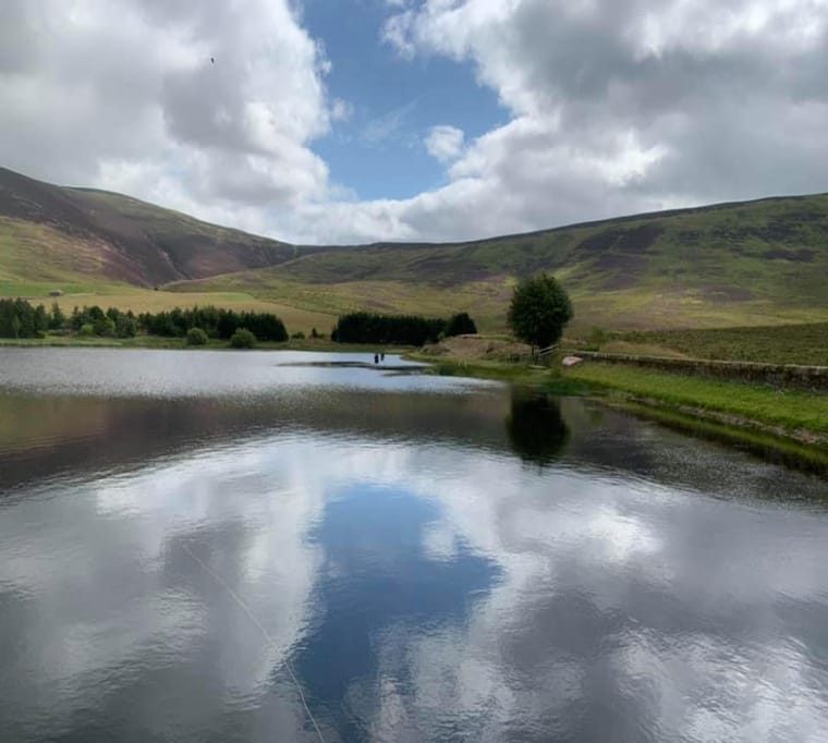 Tinto Trout Fishery244