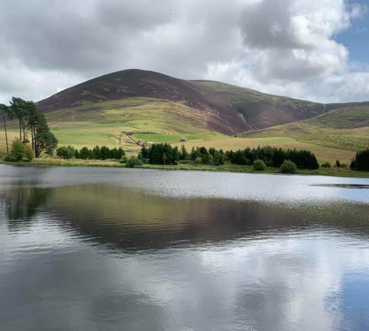 Tinto Trout Fishery245