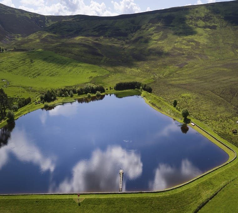 Tinto Trout Fishery246