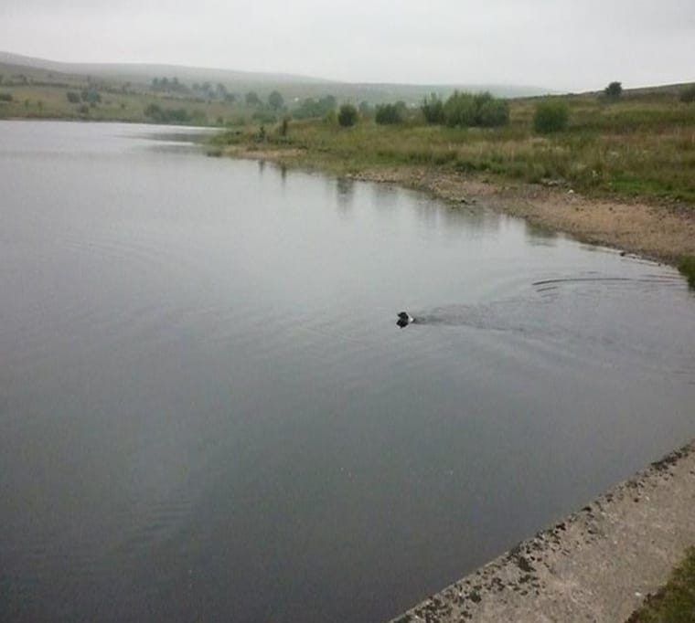 Tredegar Angling Club631