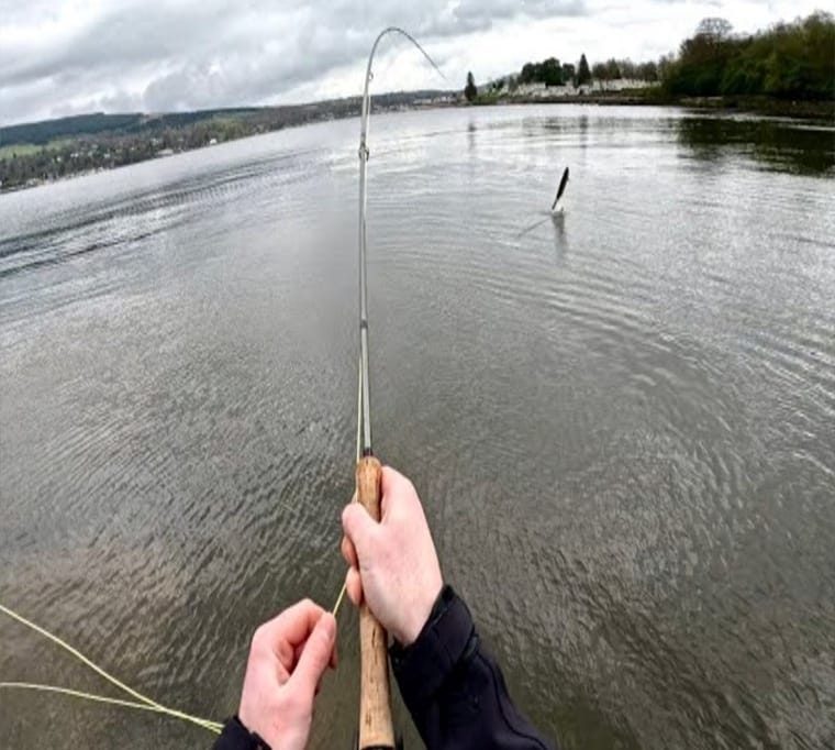 Treemeadow Trout Fishery634