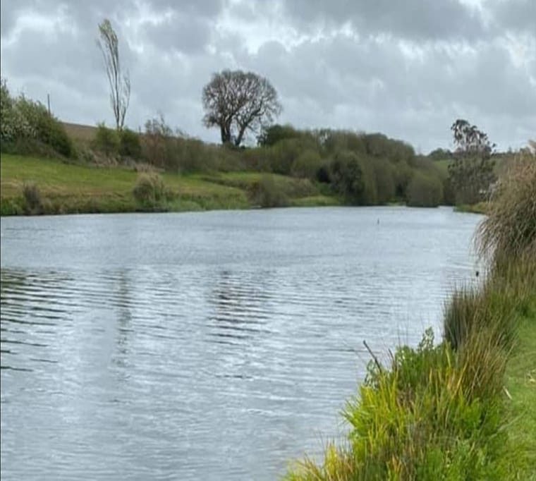 Treemeadow Trout Fishery635