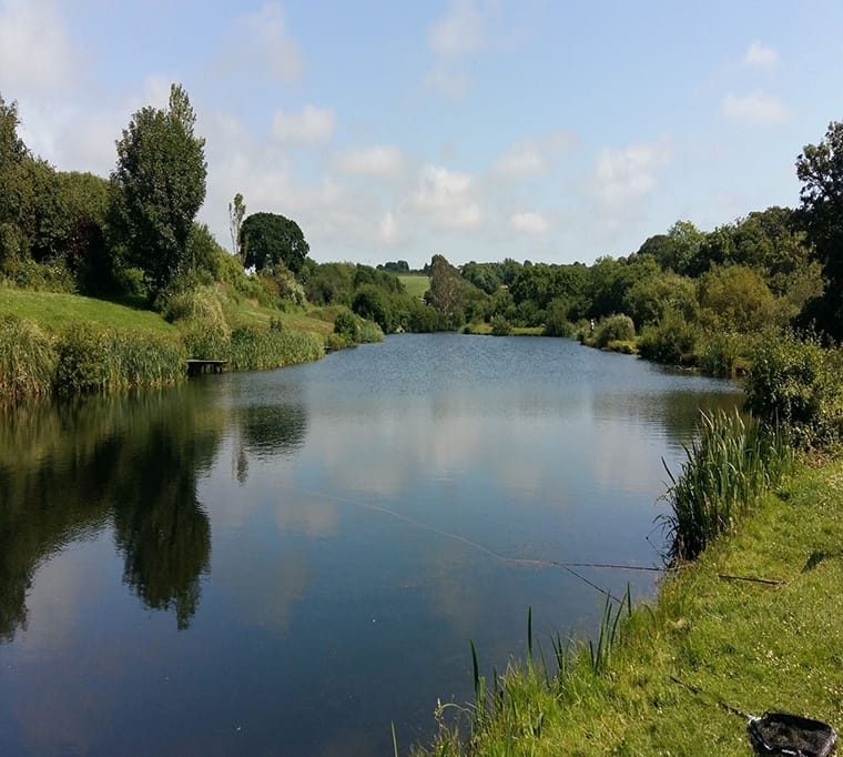 Treemeadow Trout Fishery636