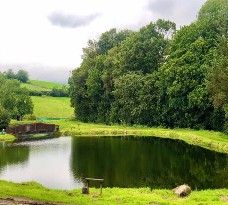 Turnaface Fishery640