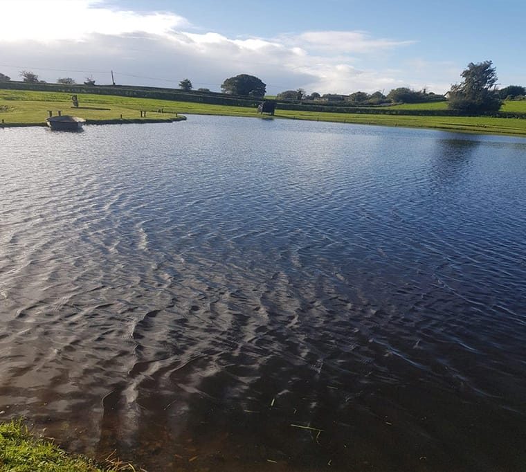 Turnaface Fishery642