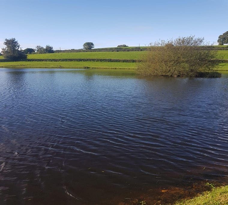 Turnaface Fishery643