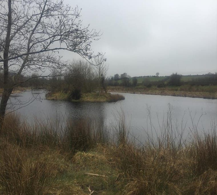 Turnagrove Trout Fishery645