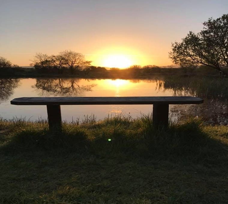 Turnagrove Trout Fishery646