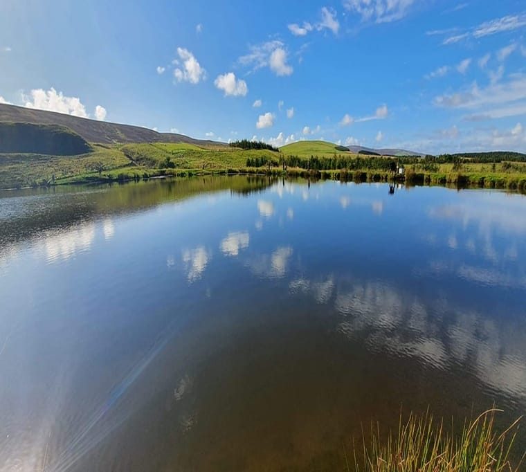 Tweeddale Millennium Trout Fishery29