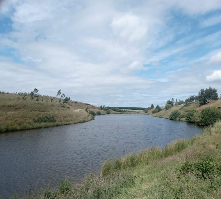 Tweeddale Millennium Trout Fishery30
