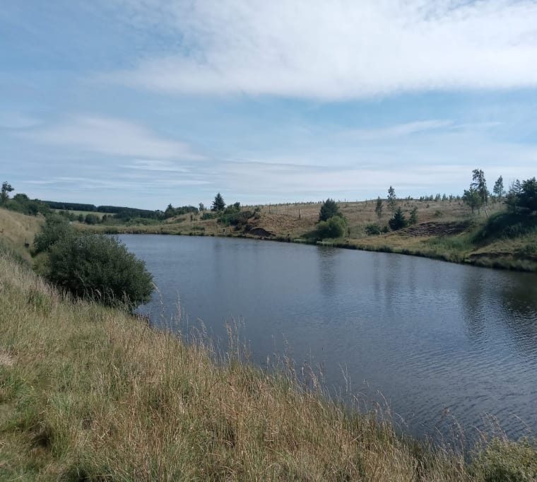 Tweeddale Millennium Trout Fishery31