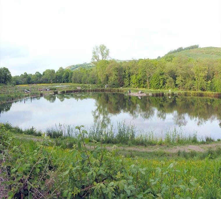 Tyn-y-Graig Fishery647