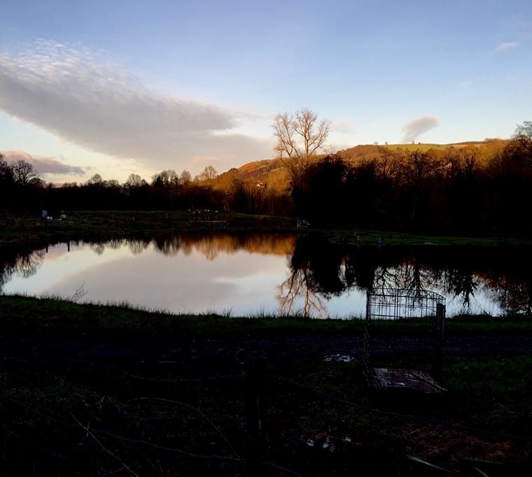 Tyn-y-Graig Fishery648