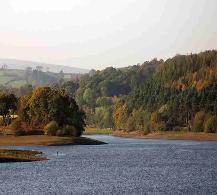 Washburn-Valley-Fisheries-3