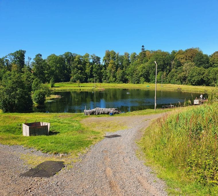 WaterFront Fishery254