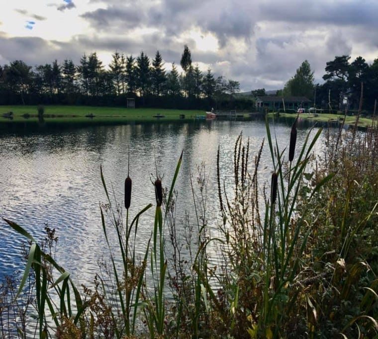 Wellsfield Fishery256