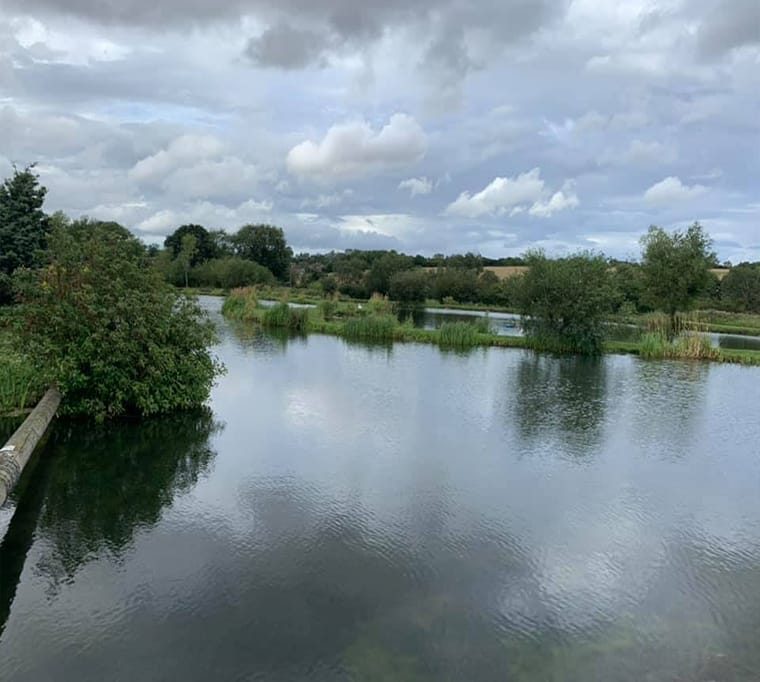 West House Trout Lakes665