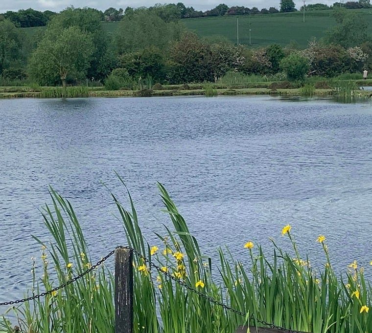 West House Trout Lakes667