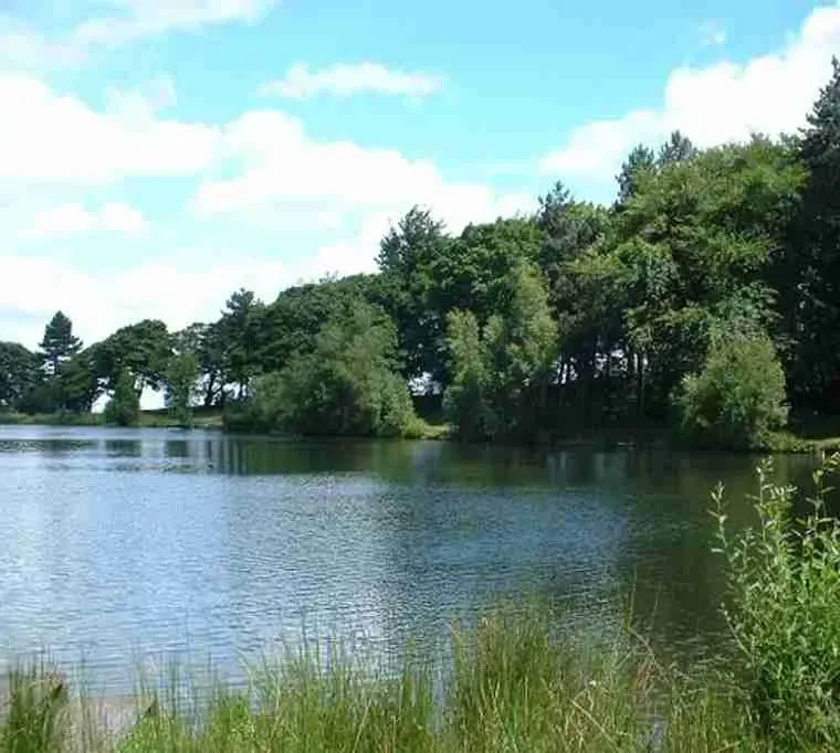 Wharncliffe-Fly-Fishery-2