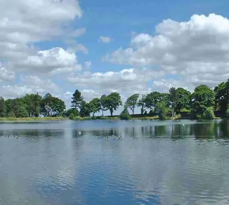 Wharncliffe-Fly-Fishery