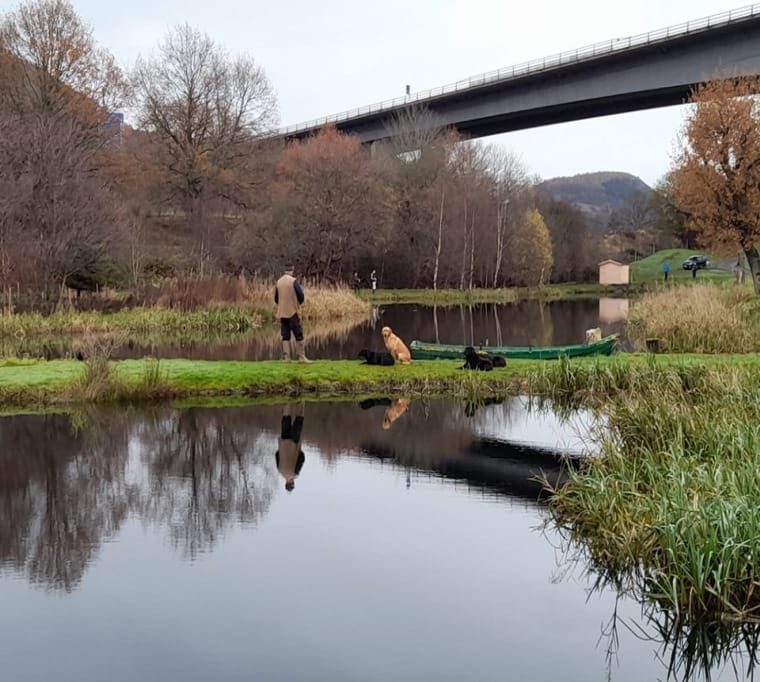 Willowgate Trout Fishery 1