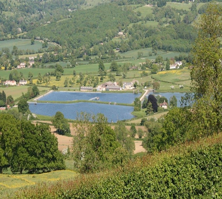 Witcombe Waters Trout Fishery677