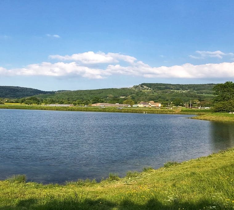 Witcombe Waters Trout Fishery679
