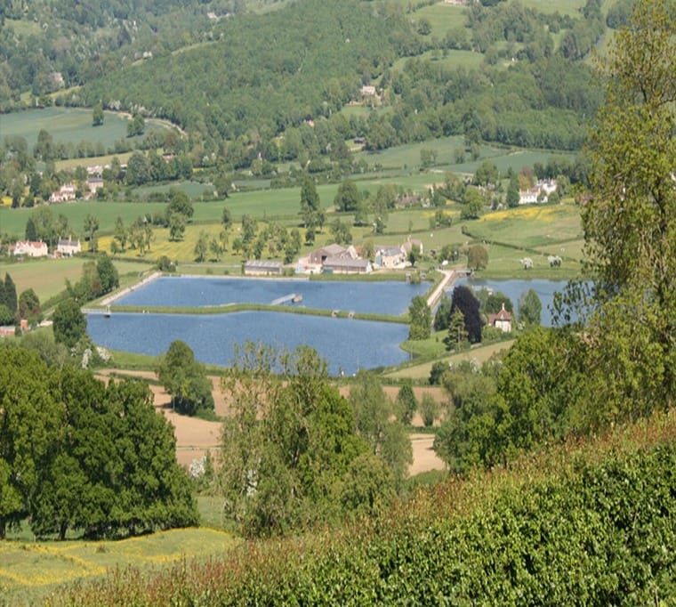 Witcombe Waters Trout Fishery680