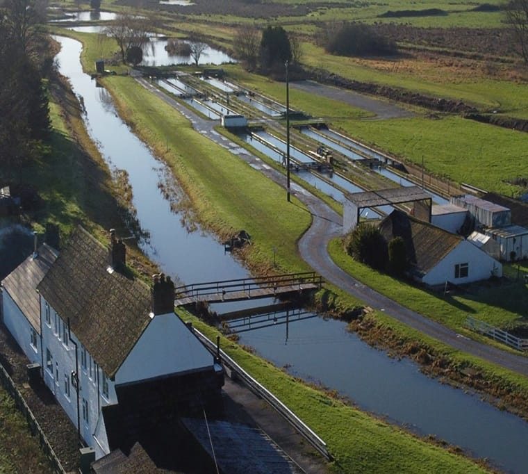 Withern Mill Trout Farm681