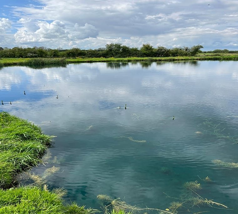 Withern Mill Trout Farm685