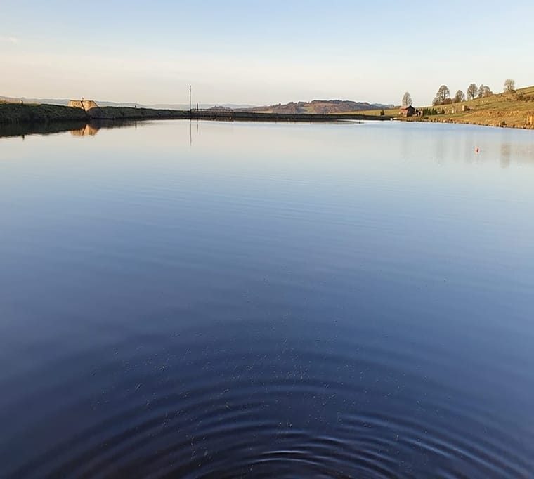 Woodburn Trout Fishery259