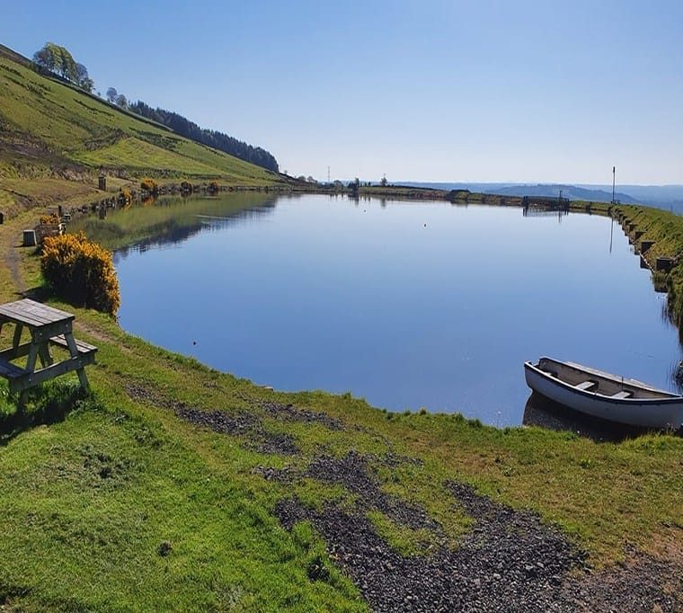 Woodburn Trout Fishery262
