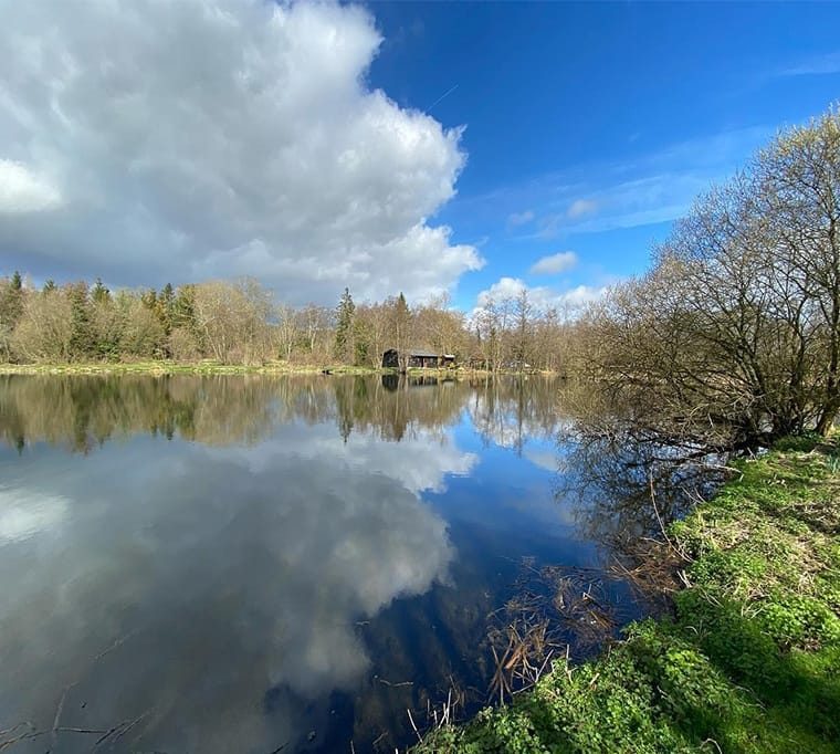 barn elms trout fishery53