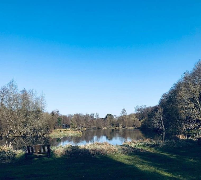 barn elms trout fishery54