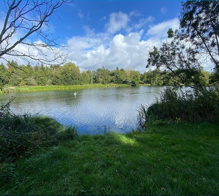 barn elms trout fishery55